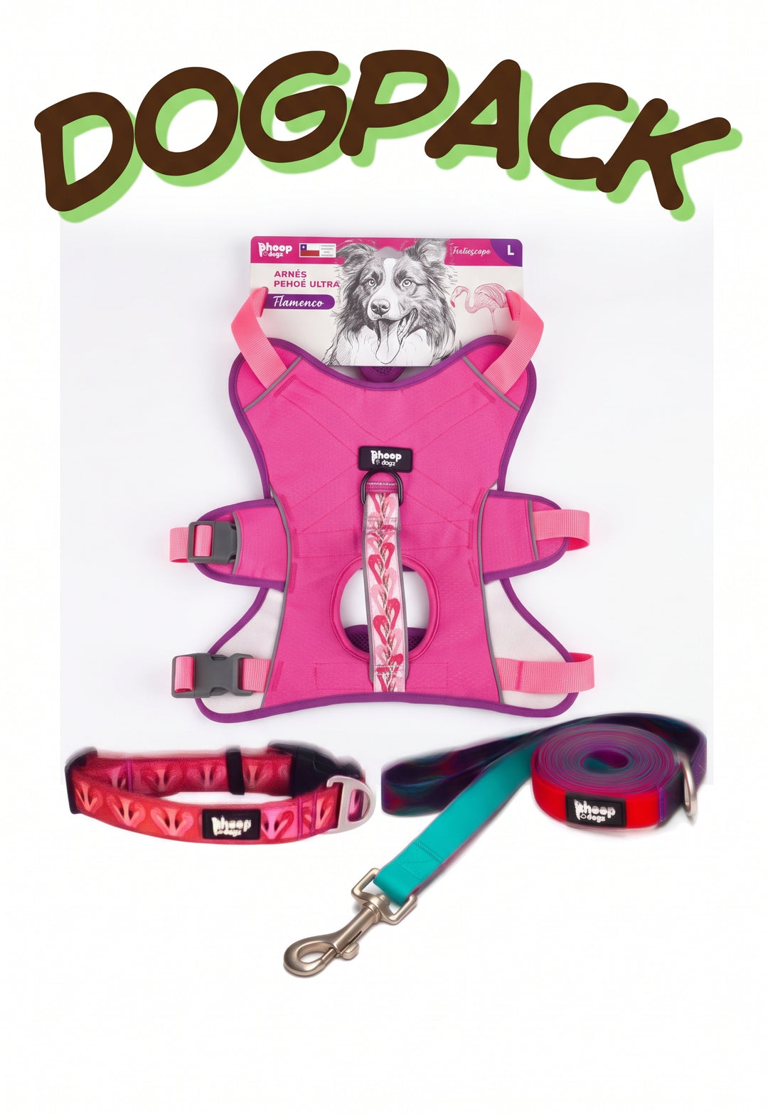 Pack para perros: arnés, collar y correa — Flamenco