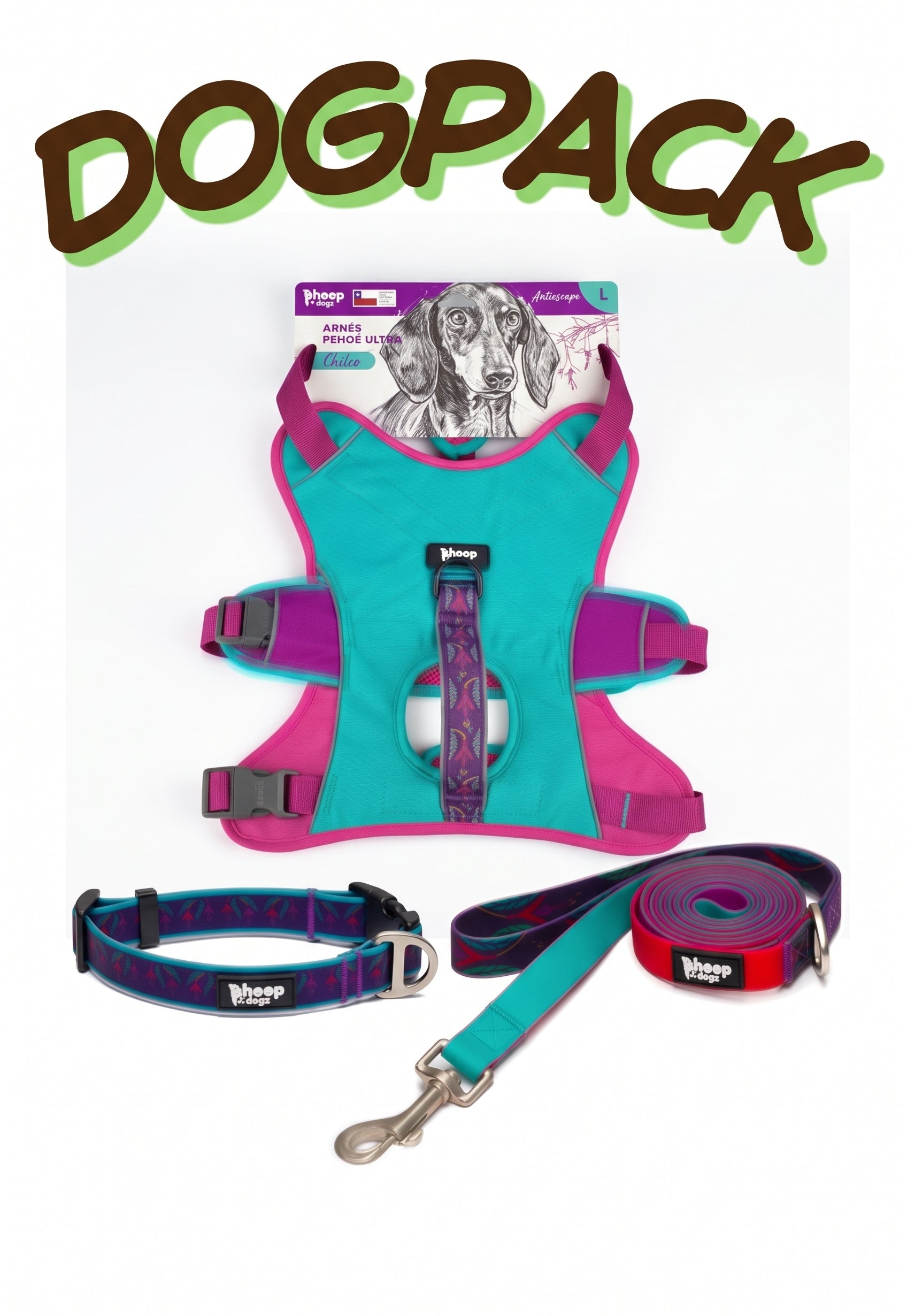 Pack para perros: arnés, collar y correa — Chilco