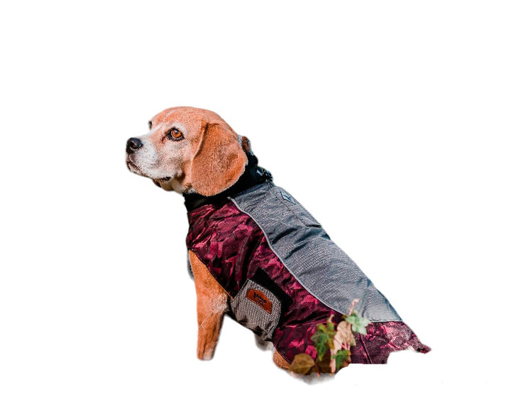 Parka Perro Grey Rosada -  Sheepdogz®