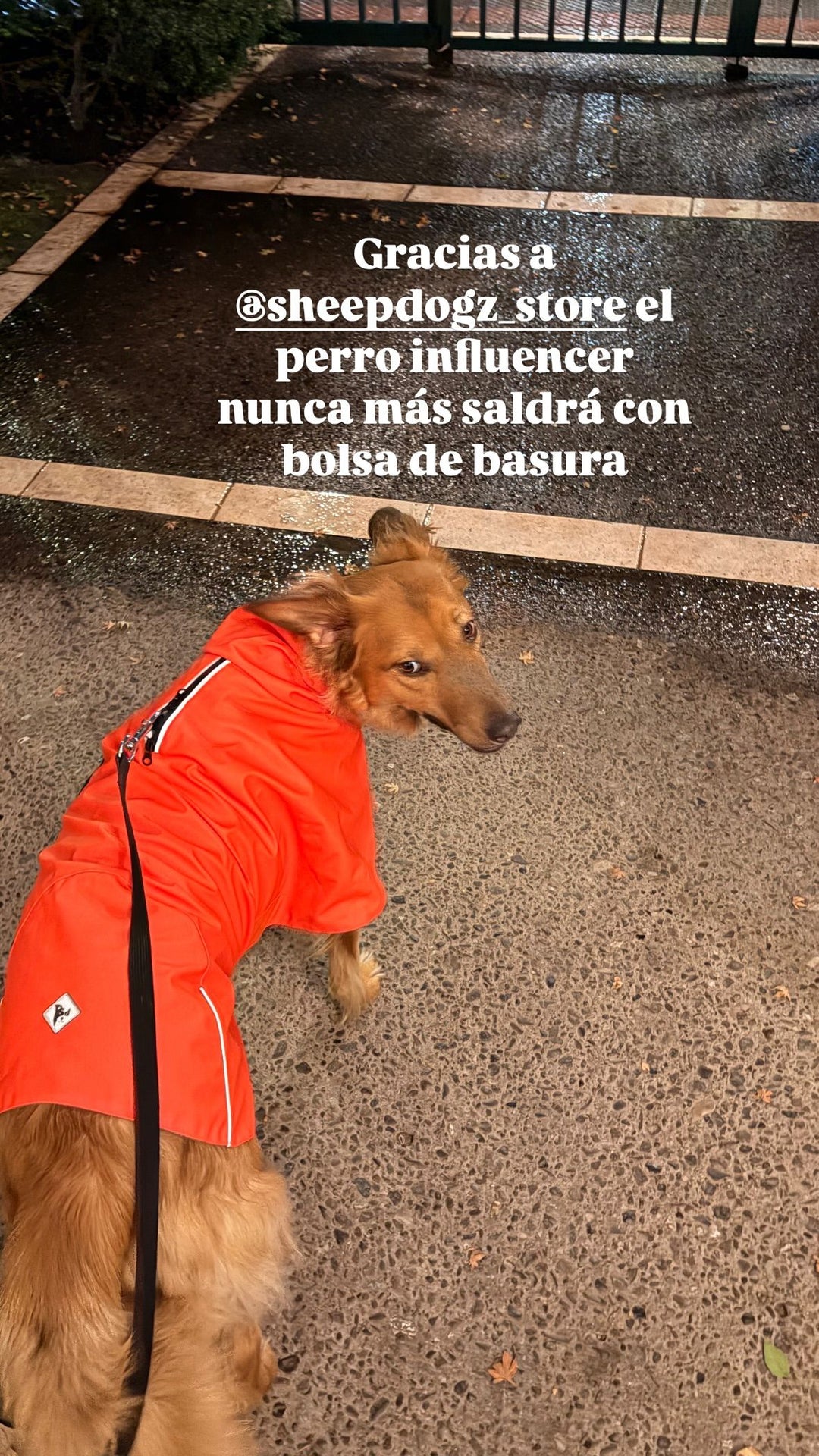 Impermeable para perros Fitz Roy — Naranja