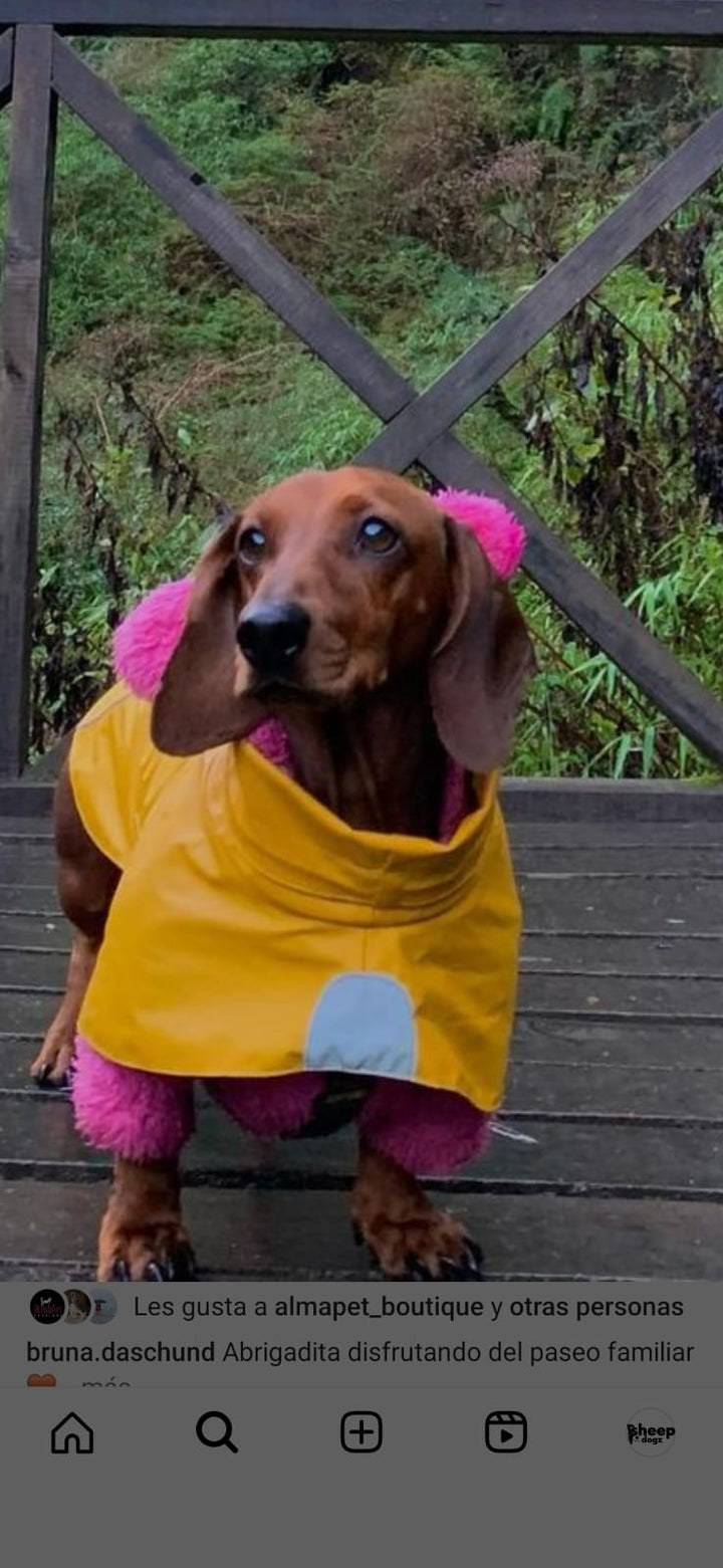 Impermeable para perros Fitz Roy — Amarillo