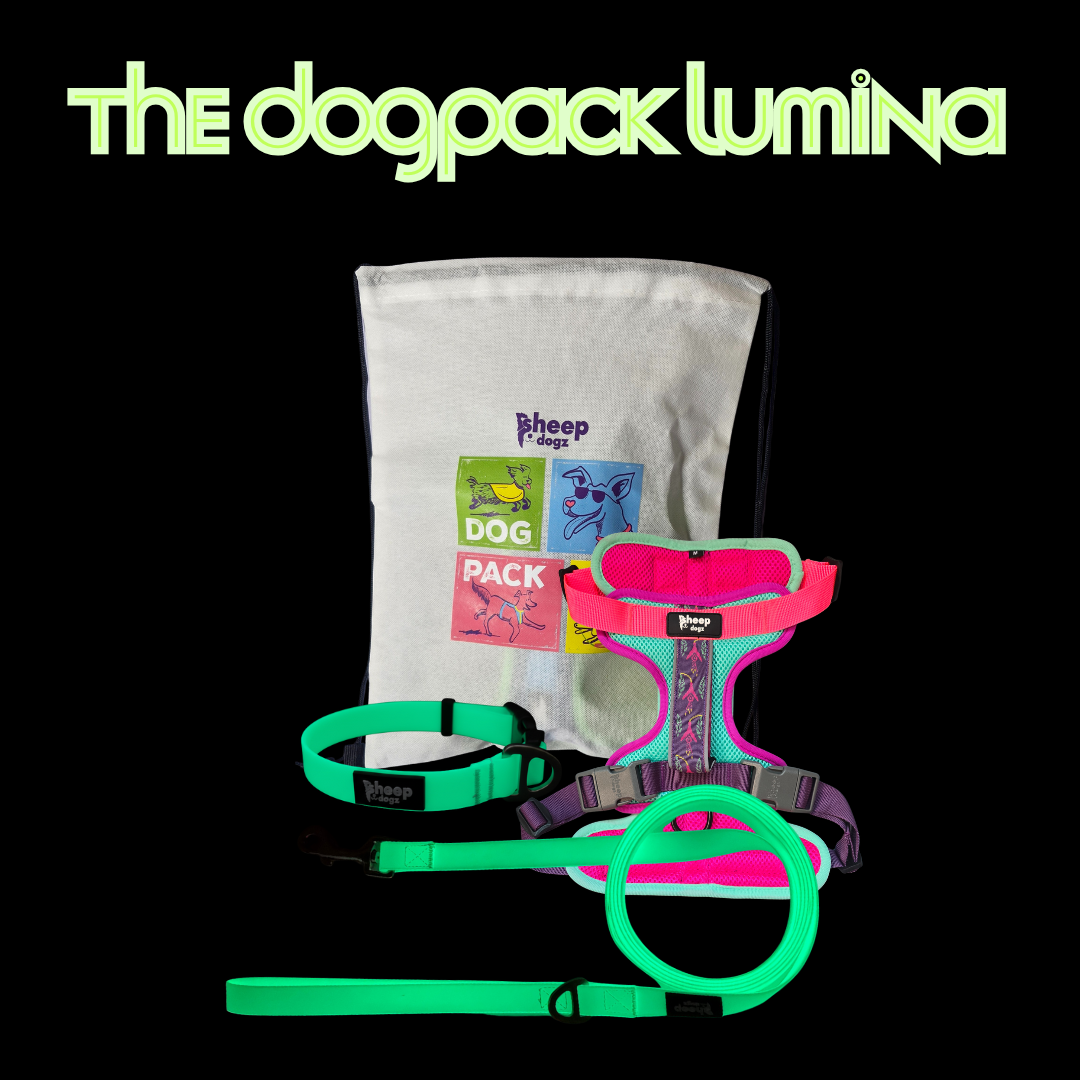 🐾 Dogpack Sheepdogz Chilco A🥀 Lumina