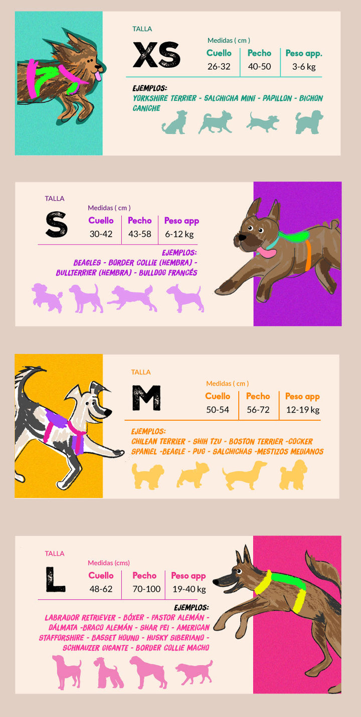 🏵️Arnés Puelo - Astroemeria 🏵️