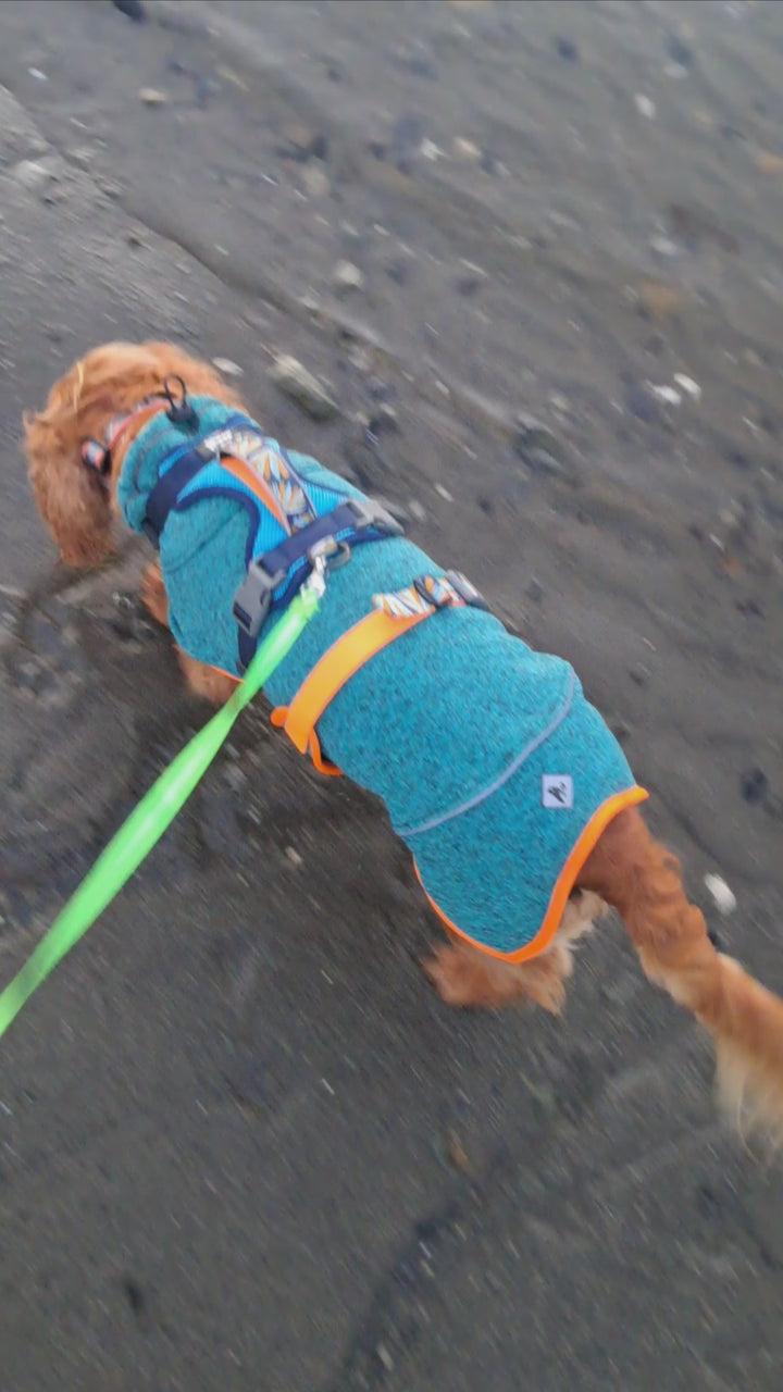 Polar para perros Dawson — Martín Pescador