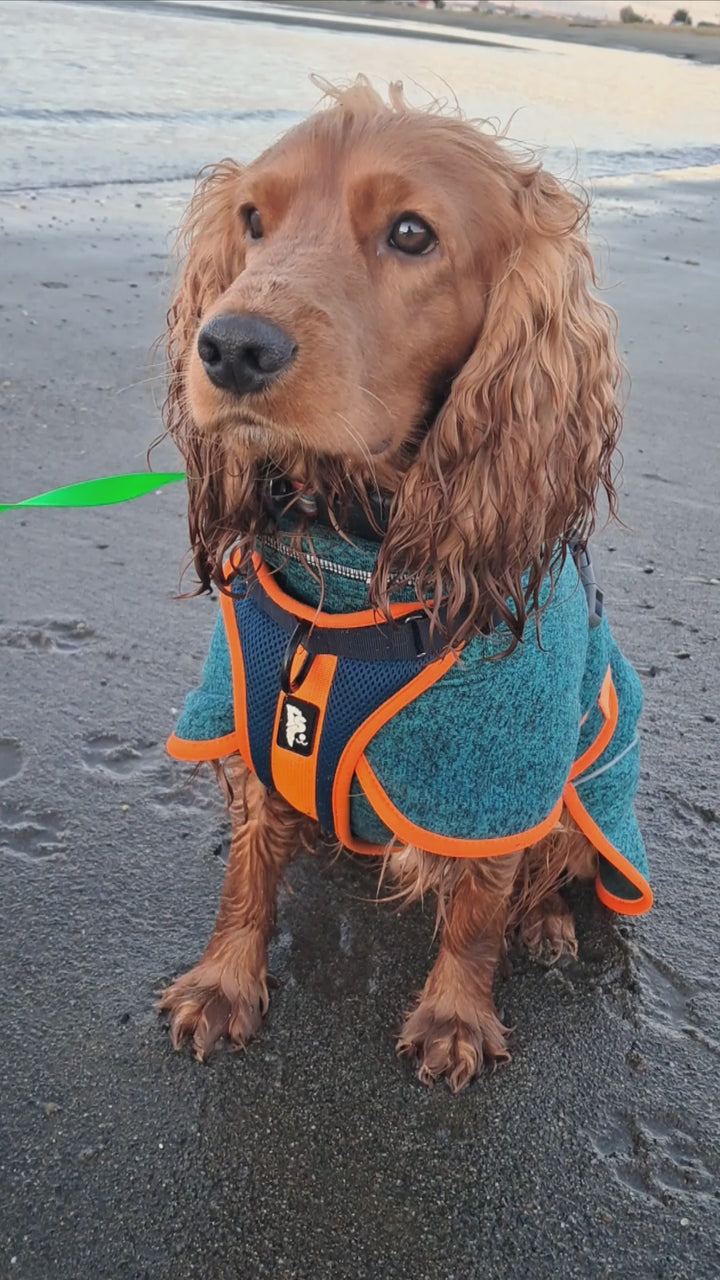 Polar para perros Dawson — Martín Pescador
