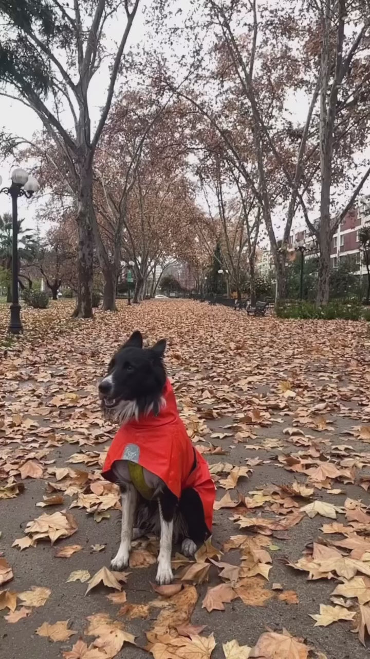 Impermeable para perros Fitz Roy — Naranja