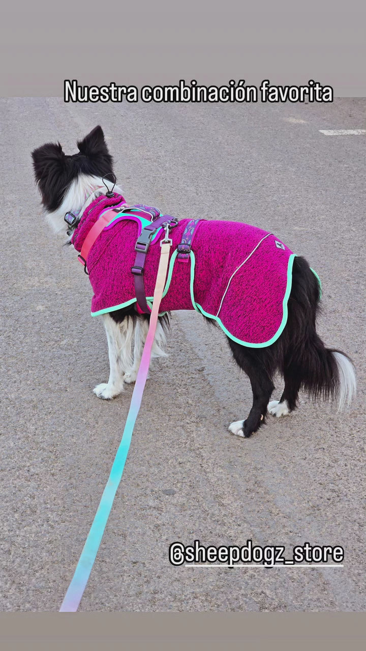 🌷Polar Perro Dawson Chilco🌷