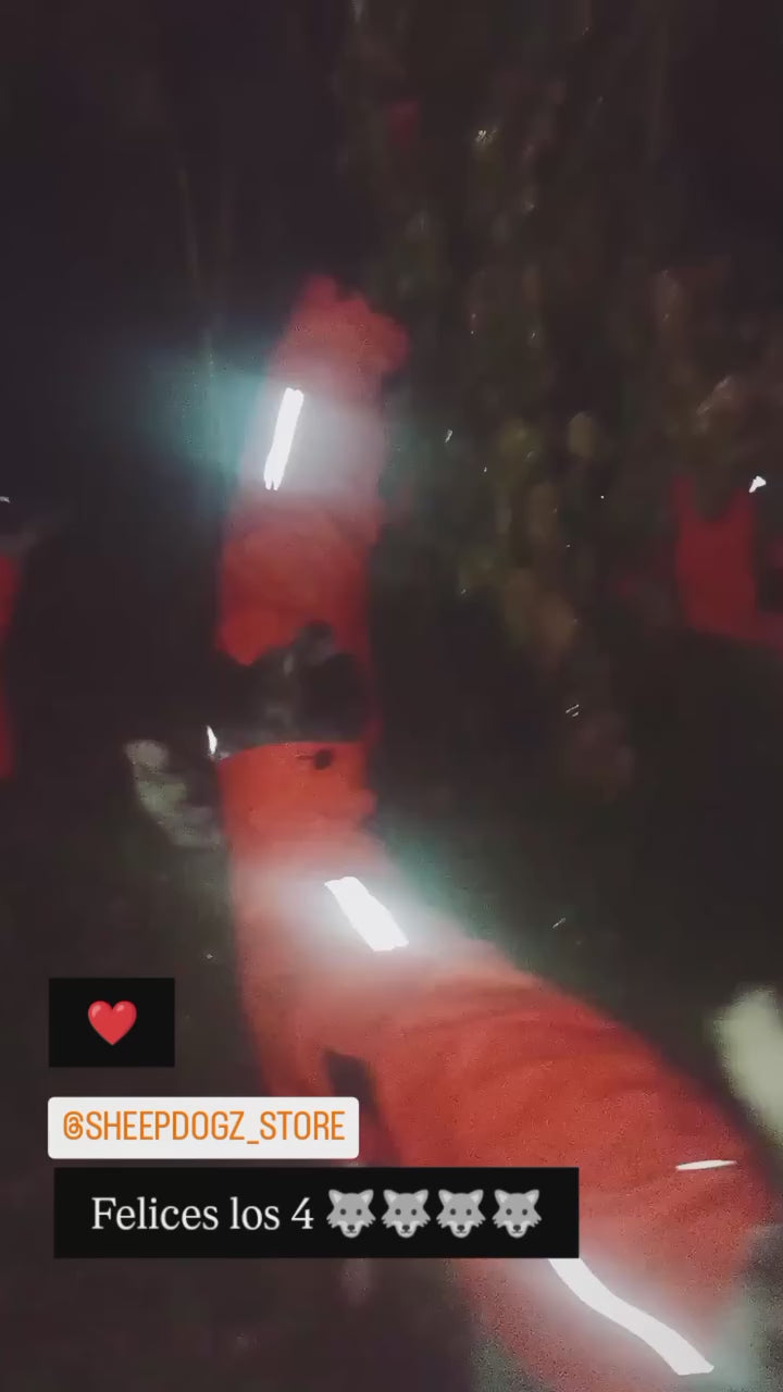 Impermeable para perros Fitz Roy — Naranja