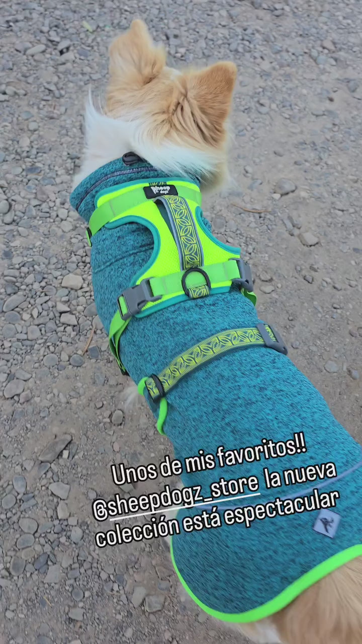 🌿Polar Perro Dawson Chagual🌿