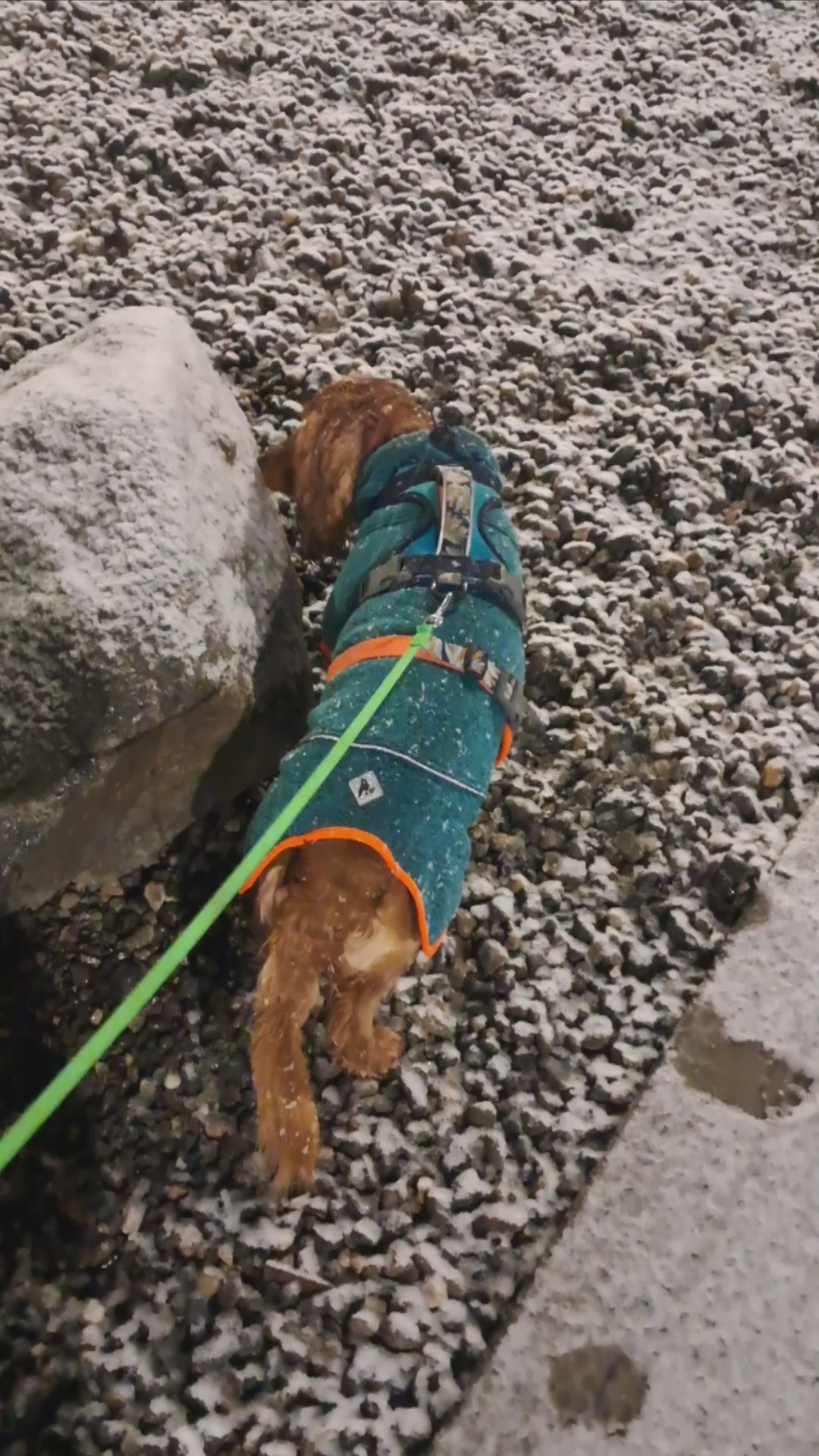 Polar para perros Dawson — Martín Pescador