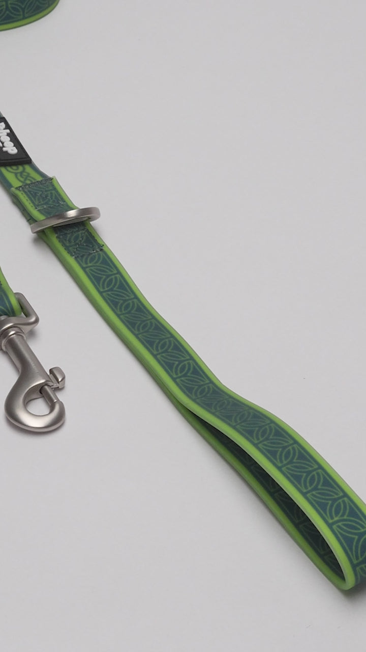 🌿Correa Impermeable Chagual🌿