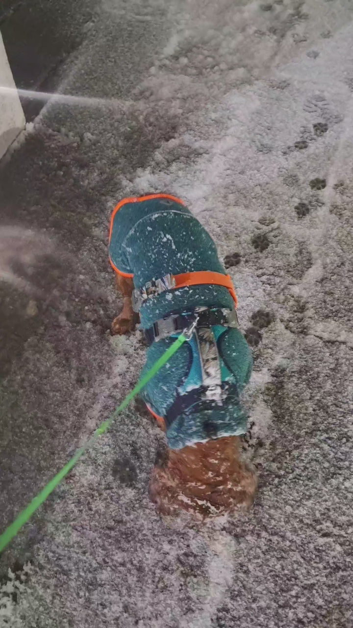 Polar para perros Dawson — Martín Pescador