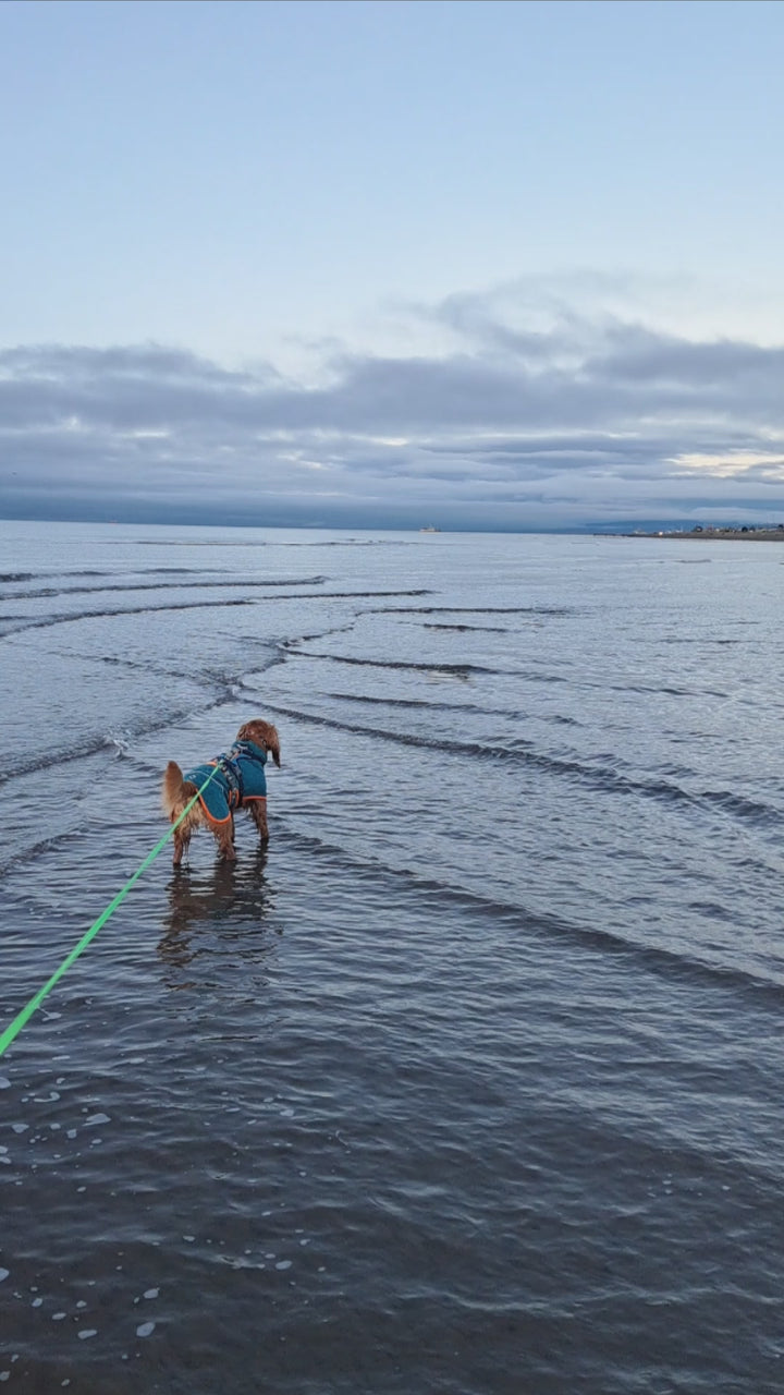 Polar para perros Dawson — Martín Pescador