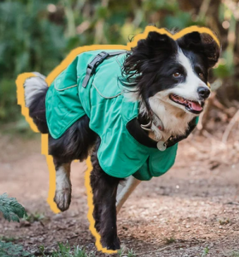 Impermeable Perro Windhook Verde - Sheepdogz®