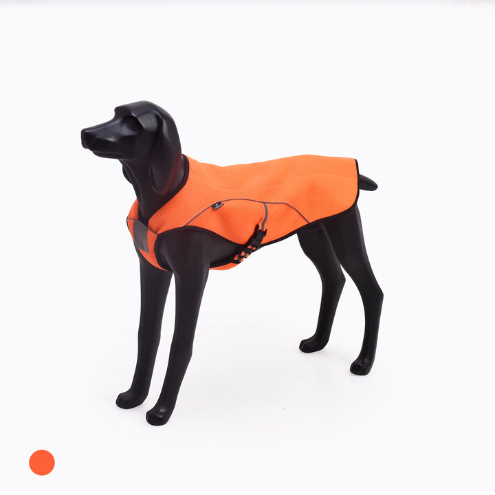 Chaqueta Refrescante Perro Adela - Sheepdogz®