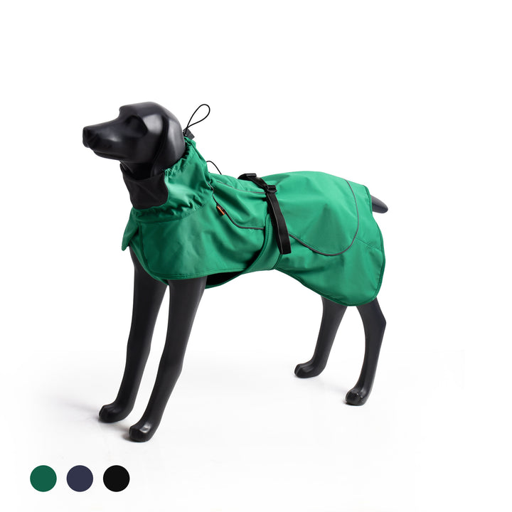 Impermeable Perro Windhook Verde - Sheepdogz®